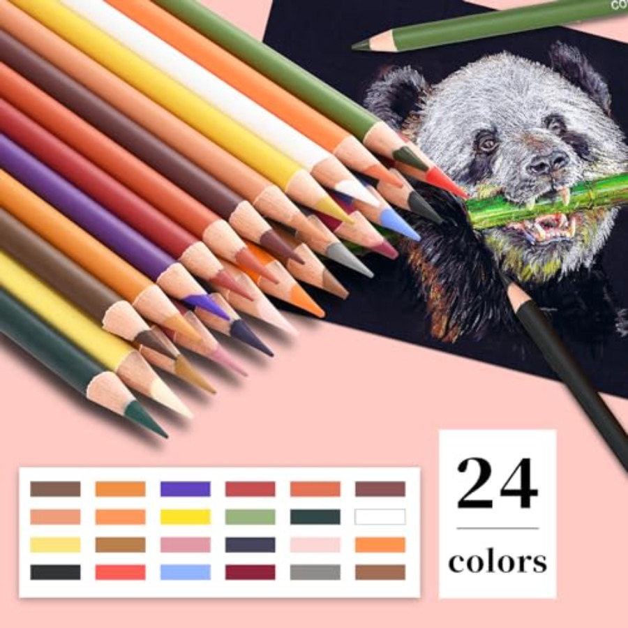 컬러 숯 연필 드로잉 세트, 24색 피부톤 파스텔 분필 - Chalk Pastel Set 리뷰 및 가격