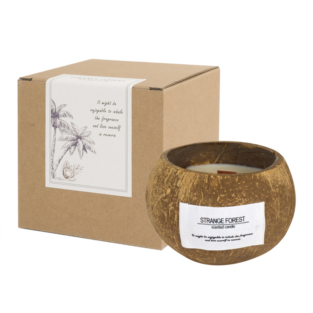 코코넛 껍질 아로마테라피 양초 에센셜 오일 향수 프리미 - Soy Candle Fragrance Oil 리뷰 및 가격